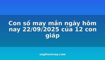 con-so-may-man-ngay-hom-nay-22092025-cua-12-con-giap