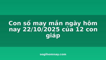 con-so-may-man-ngay-hom-nay-22102025-cua-12-con-giap