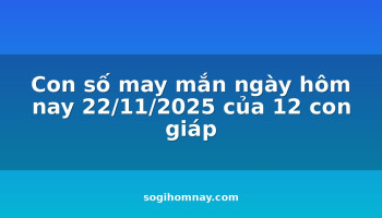 con-so-may-man-ngay-hom-nay-22112025-cua-12-con-giap