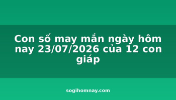 con-so-may-man-ngay-hom-nay-23072026-cua-12-con-giap