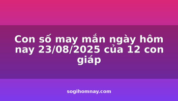 con-so-may-man-ngay-hom-nay-23082025-cua-12-con-giap