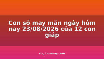 con-so-may-man-ngay-hom-nay-23082026-cua-12-con-giap
