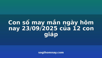con-so-may-man-ngay-hom-nay-23092025-cua-12-con-giap