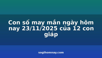 con-so-may-man-ngay-hom-nay-23112025-cua-12-con-giap