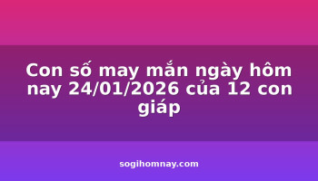 con-so-may-man-ngay-hom-nay-24012026-cua-12-con-giap