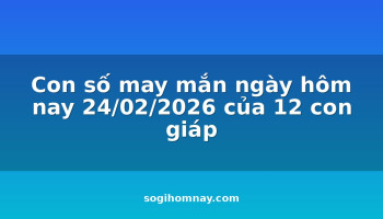 con-so-may-man-ngay-hom-nay-24022026-cua-12-con-giap