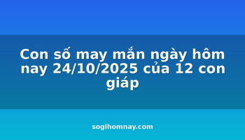 con-so-may-man-ngay-hom-nay-24102025-cua-12-con-giap