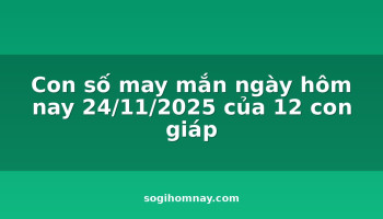 con-so-may-man-ngay-hom-nay-24112025-cua-12-con-giap