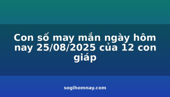 con-so-may-man-ngay-hom-nay-25082025-cua-12-con-giap