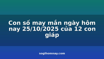 con-so-may-man-ngay-hom-nay-25102025-cua-12-con-giap