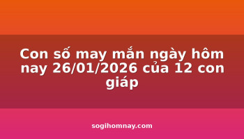 con-so-may-man-ngay-hom-nay-26012026-cua-12-con-giap