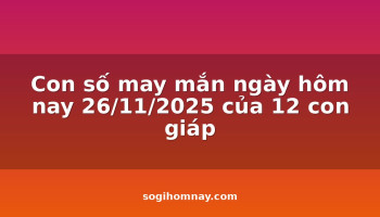 con-so-may-man-ngay-hom-nay-26112025-cua-12-con-giap