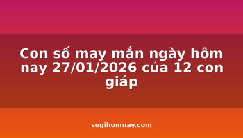 con-so-may-man-ngay-hom-nay-27012026-cua-12-con-giap