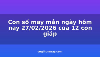 con-so-may-man-ngay-hom-nay-27022026-cua-12-con-giap