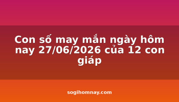 con-so-may-man-ngay-hom-nay-27062026-cua-12-con-giap