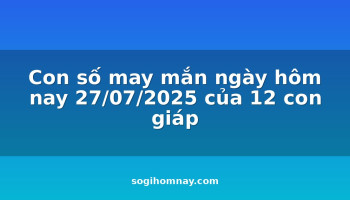 con-so-may-man-ngay-hom-nay-27072025-cua-12-con-giap