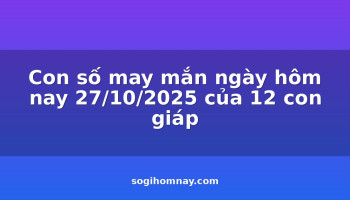 con-so-may-man-ngay-hom-nay-27102025-cua-12-con-giap