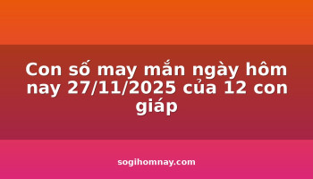 con-so-may-man-ngay-hom-nay-27112025-cua-12-con-giap