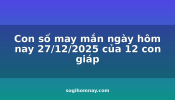 con-so-may-man-ngay-hom-nay-27122025-cua-12-con-giap