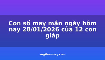con-so-may-man-ngay-hom-nay-28012026-cua-12-con-giap