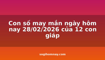 con-so-may-man-ngay-hom-nay-28022026-cua-12-con-giap
