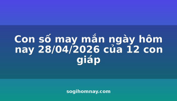 con-so-may-man-ngay-hom-nay-28042026-cua-12-con-giap