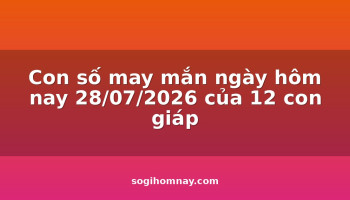 con-so-may-man-ngay-hom-nay-28072026-cua-12-con-giap