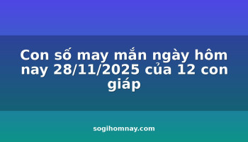 con-so-may-man-ngay-hom-nay-28112025-cua-12-con-giap