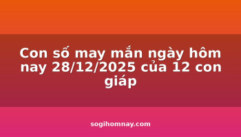 con-so-may-man-ngay-hom-nay-28122025-cua-12-con-giap
