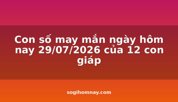 con-so-may-man-ngay-hom-nay-29072026-cua-12-con-giap