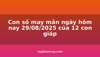 con-so-may-man-ngay-hom-nay-29082025-cua-12-con-giap
