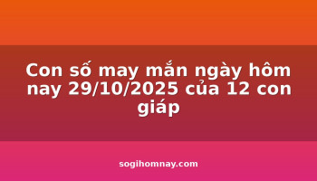 con-so-may-man-ngay-hom-nay-29102025-cua-12-con-giap