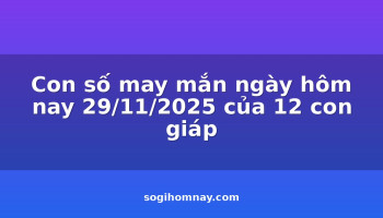 con-so-may-man-ngay-hom-nay-29112025-cua-12-con-giap