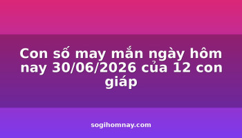 con-so-may-man-ngay-hom-nay-30062026-cua-12-con-giap