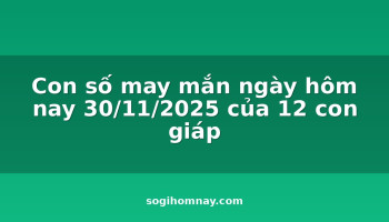con-so-may-man-ngay-hom-nay-30112025-cua-12-con-giap