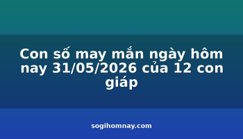 con-so-may-man-ngay-hom-nay-31052026-cua-12-con-giap