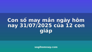 con-so-may-man-ngay-hom-nay-31072025-cua-12-con-giap