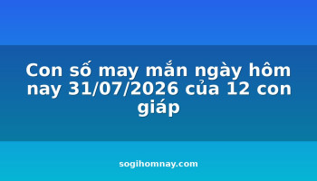 con-so-may-man-ngay-hom-nay-31072026-cua-12-con-giap