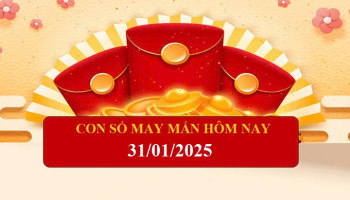 con-so-may-man-ngay-hom-nay-31012025-cua-12-con-giap