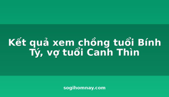 ket-qua-xem-chong-tuoi-binh-ty-vo-tuoi-canh-thin