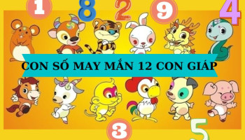 nhung-con-so-may-man-giup-ban-thang-hoa