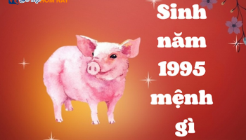sinh-1995-menh-gi