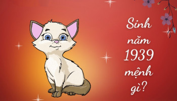sinh-nam-1939-menh-gi