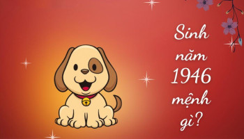 sinh-nam-1946-menh-gi