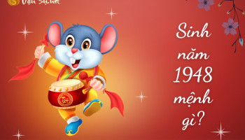 sinh-nam-1948-menh-gi