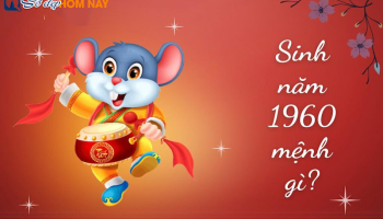 sinh-nam-1960-menh-gi