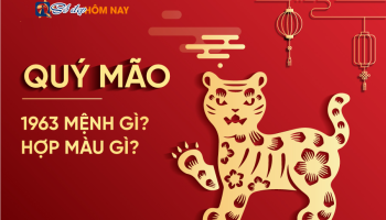 sinh-nam-1963-menh-gi
