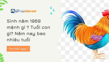 sinh-nam-1969-menh-gi