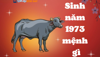 sinh-nam-1973-menh-gi