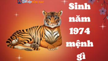 sinh-nam-1974-menh-gi